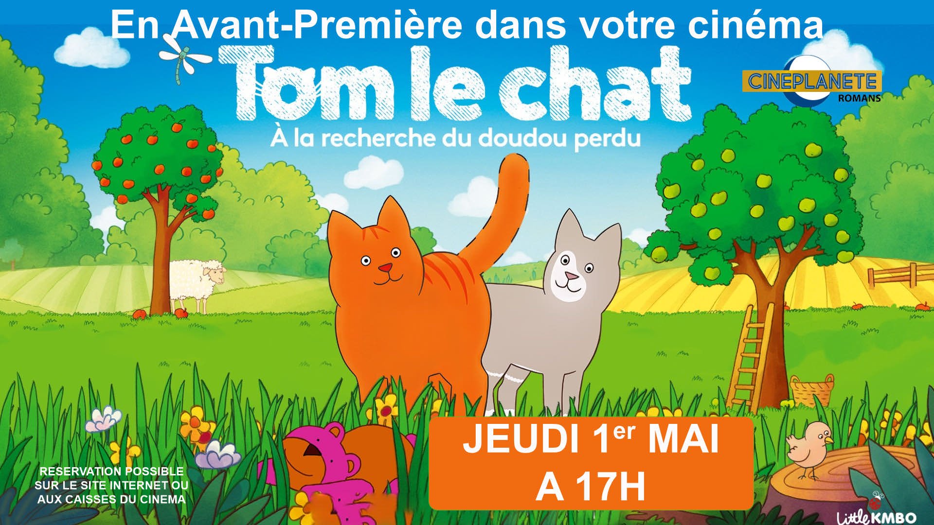 AVP TOM LE CHAT
