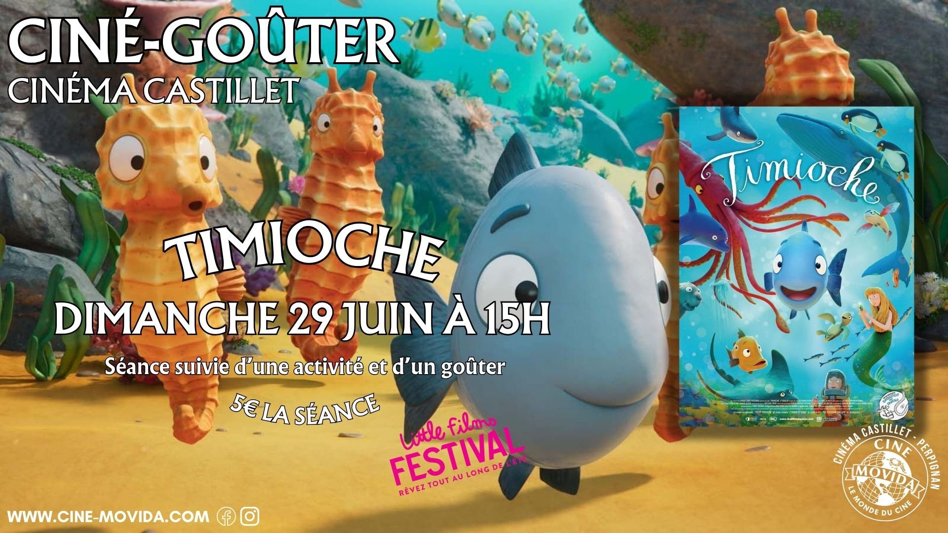 Timioche
