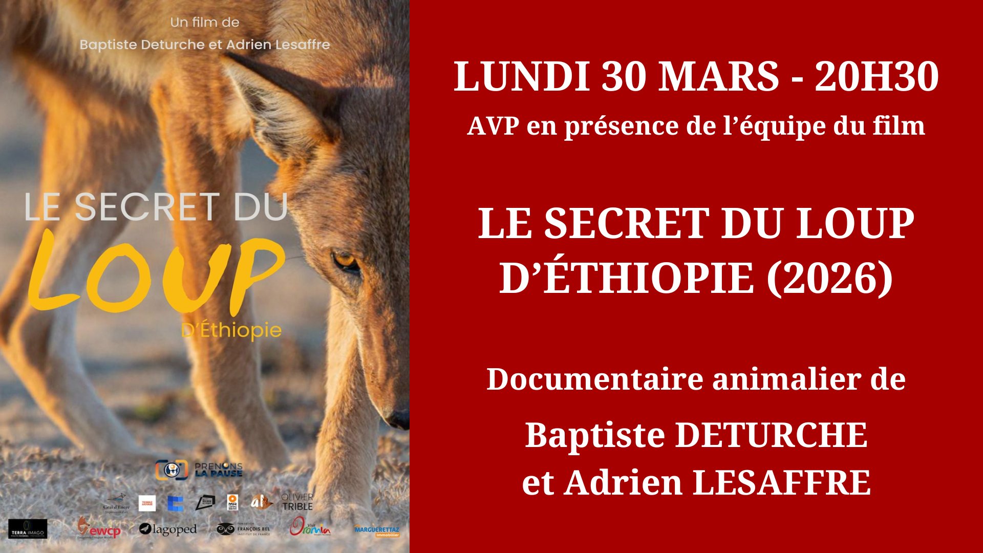 Cinéma Mac Mahon - Le Secret du loup d'Ethiopie