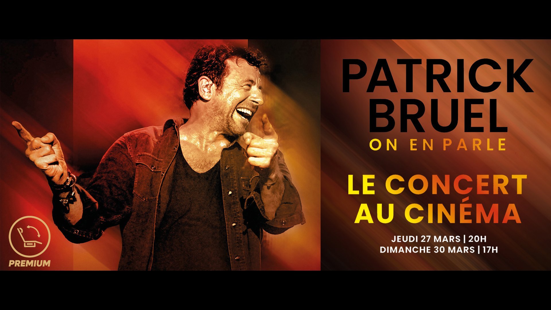 Patrick Bruel : le concert au cinéma  