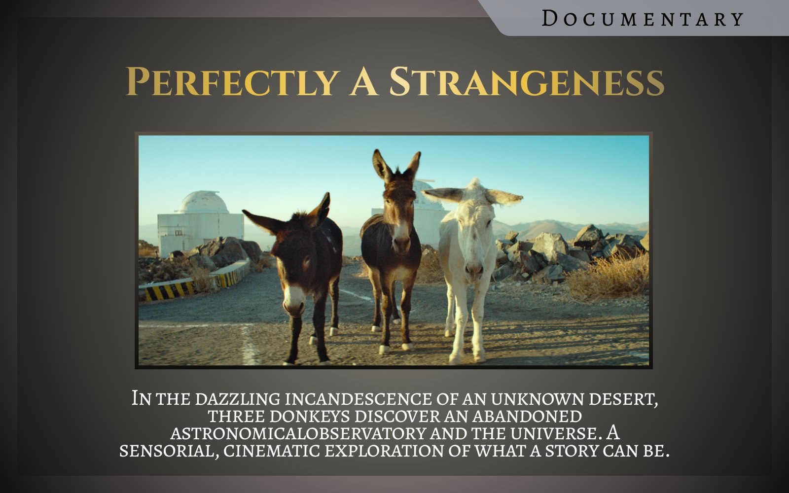 Documentary Perfectly A Strangeness