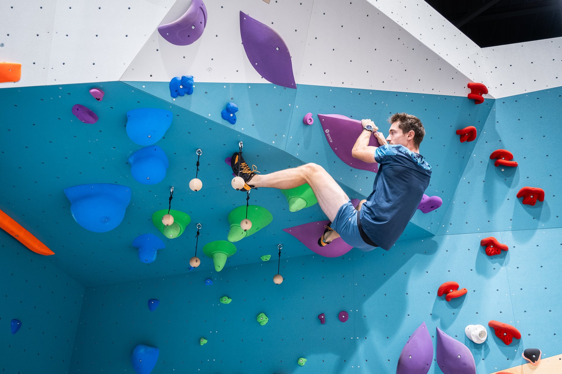 Salles Les Chats Perchés