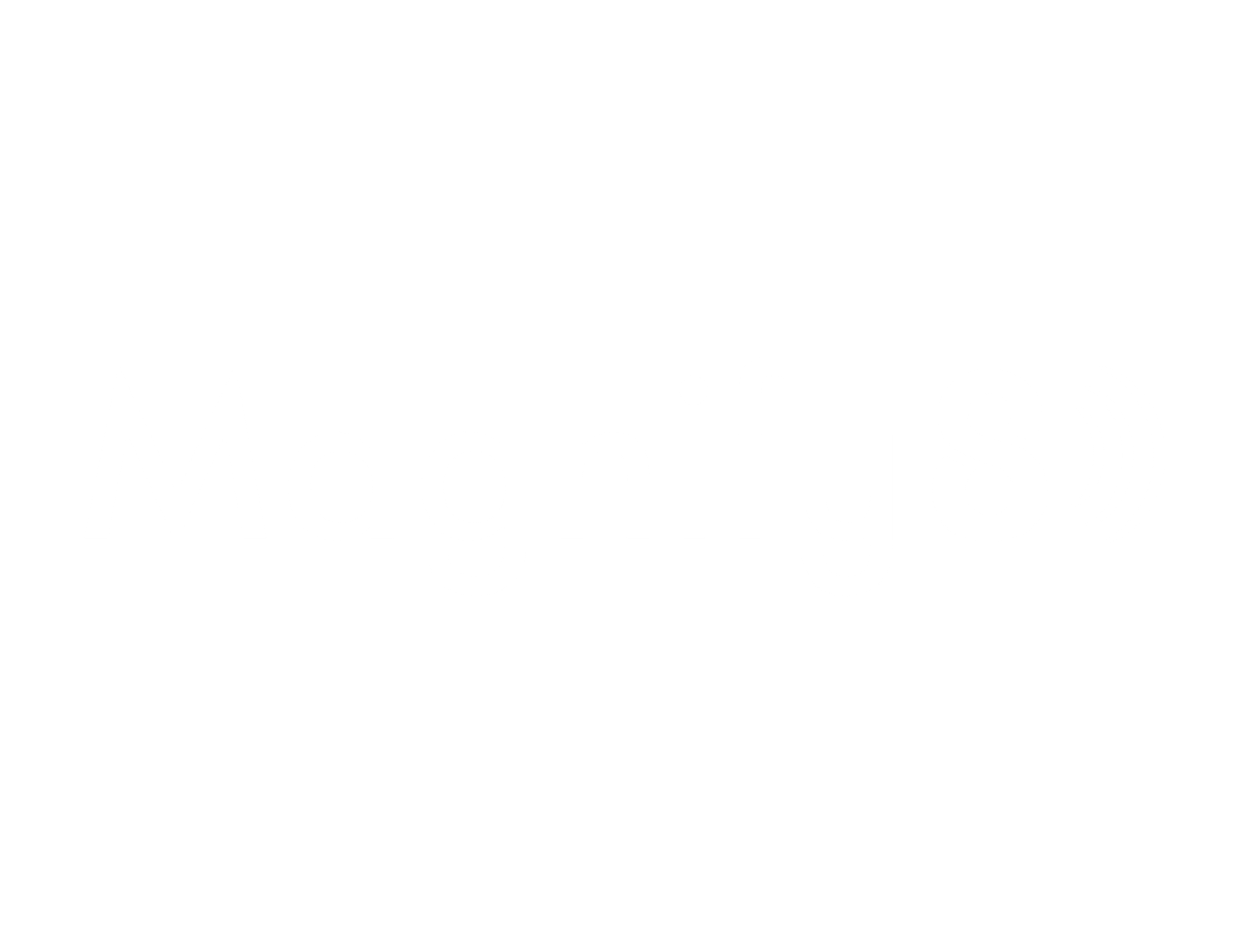 magnify 8 logo in white