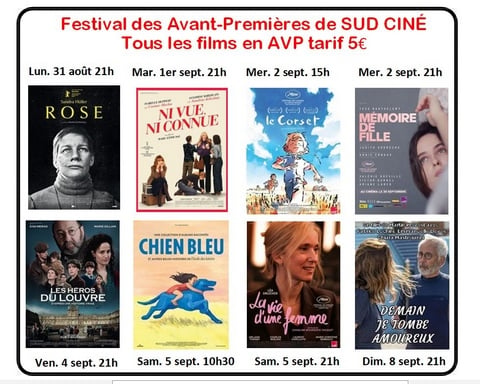 festival SUD CINÉ