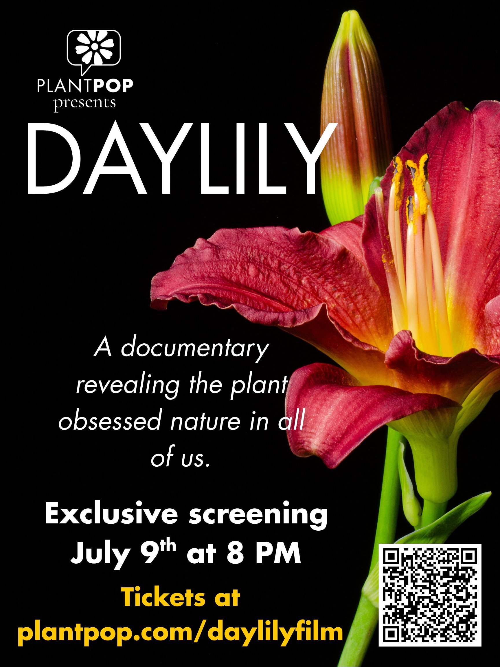Daylily