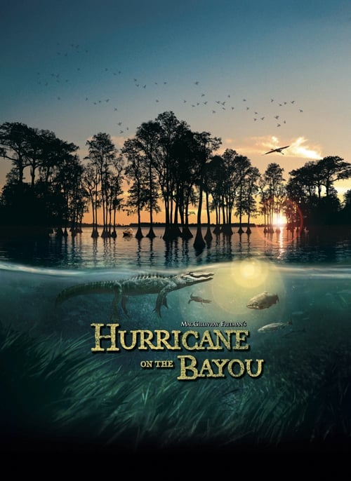 Hurricane on The Bayou Poster