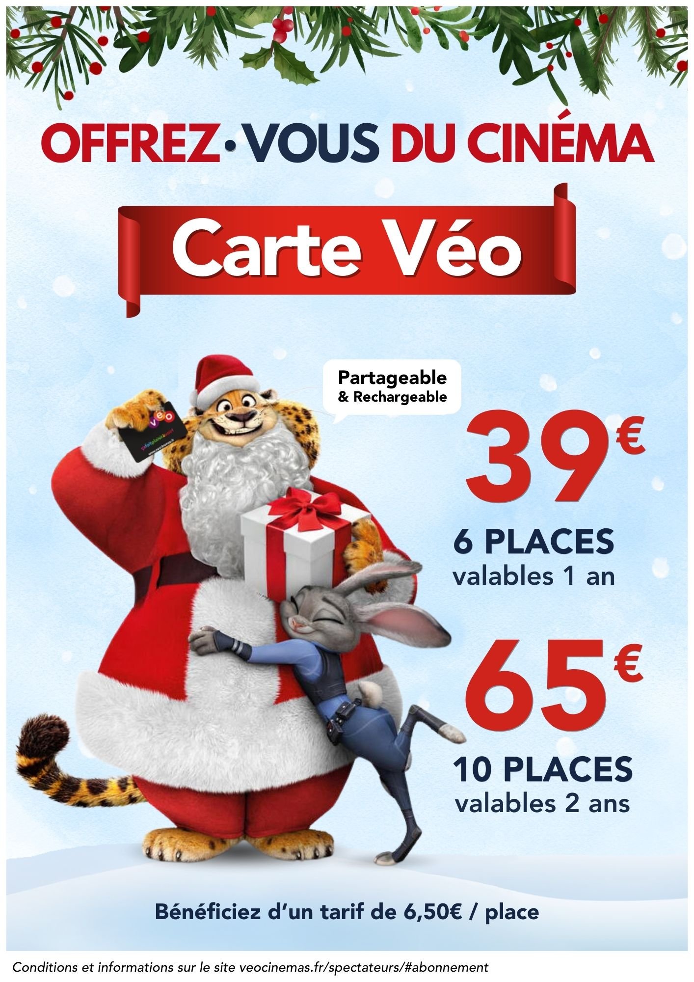 Carte véo adulte