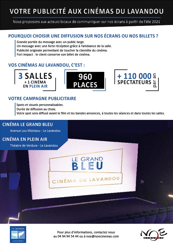 Campagne annonceur