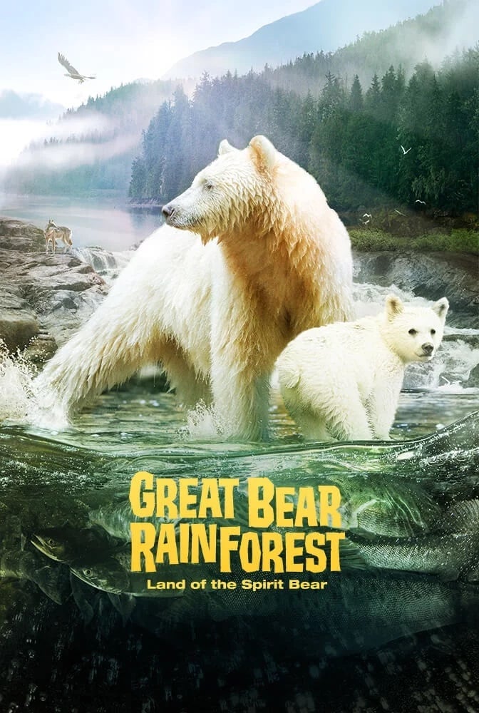 Great Bear Rainforest Poster
