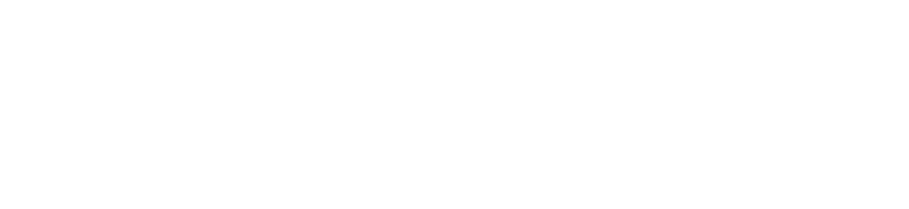 Samsung onyx