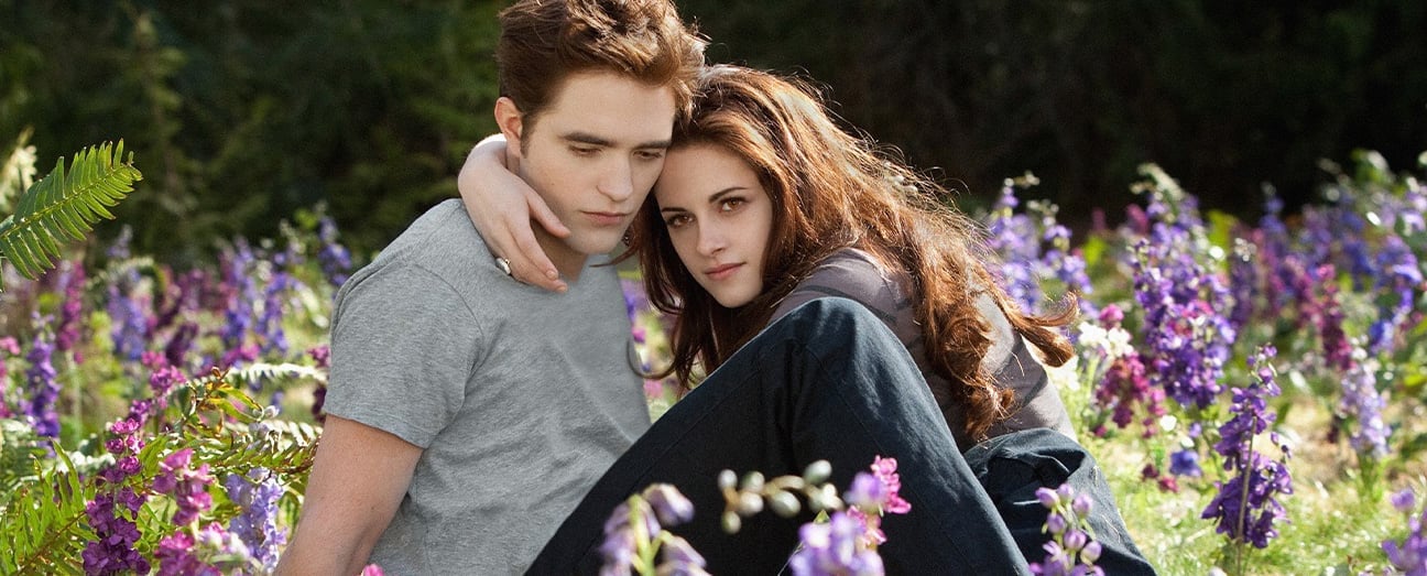 Twilight series on the big screen