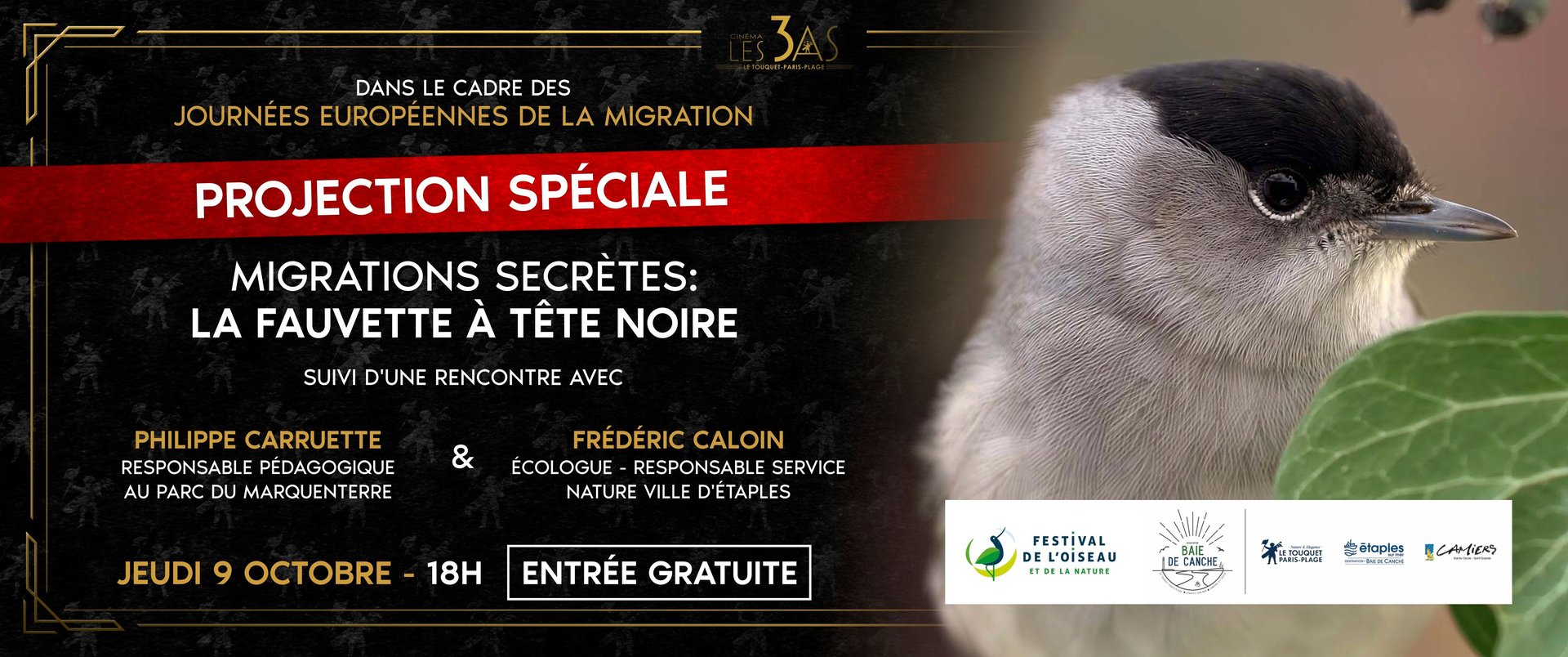 FESTIVAL OISEAU