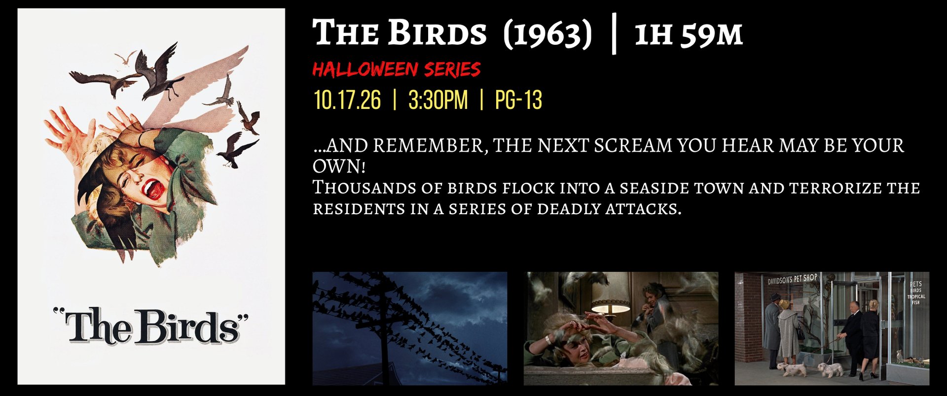 The Birds