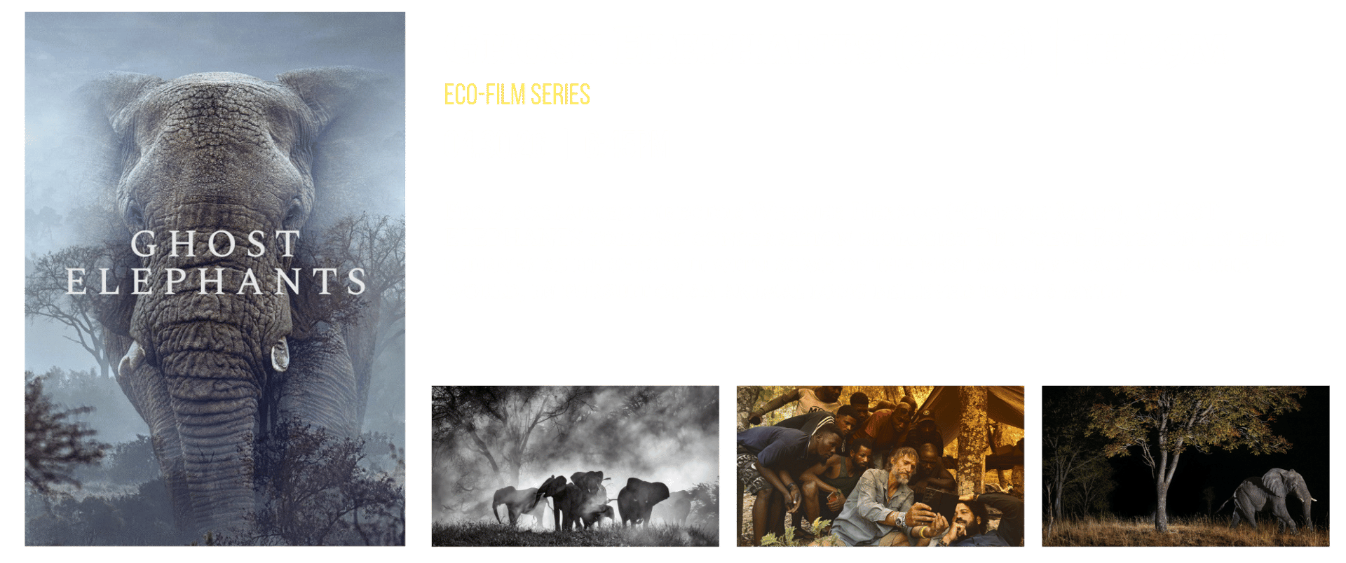 Ghost Elephants