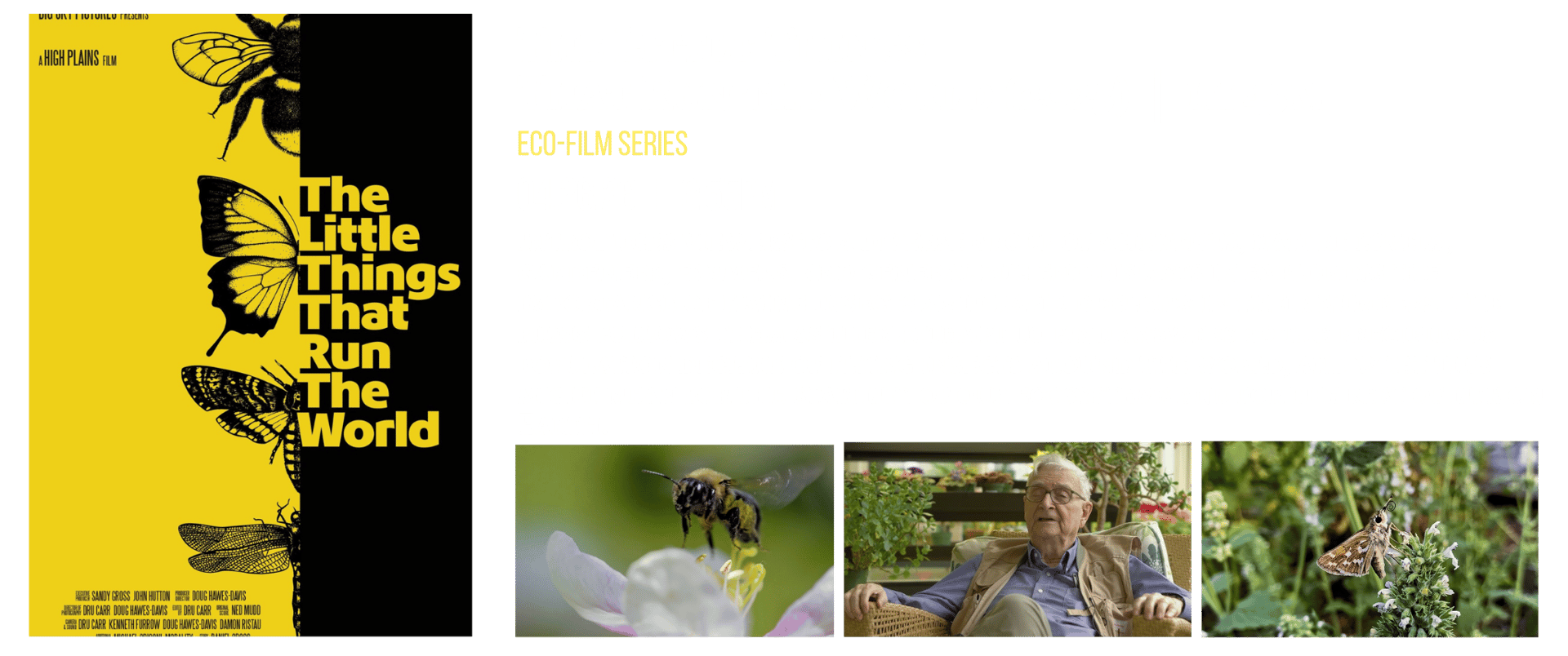 The Little Things That Run The World