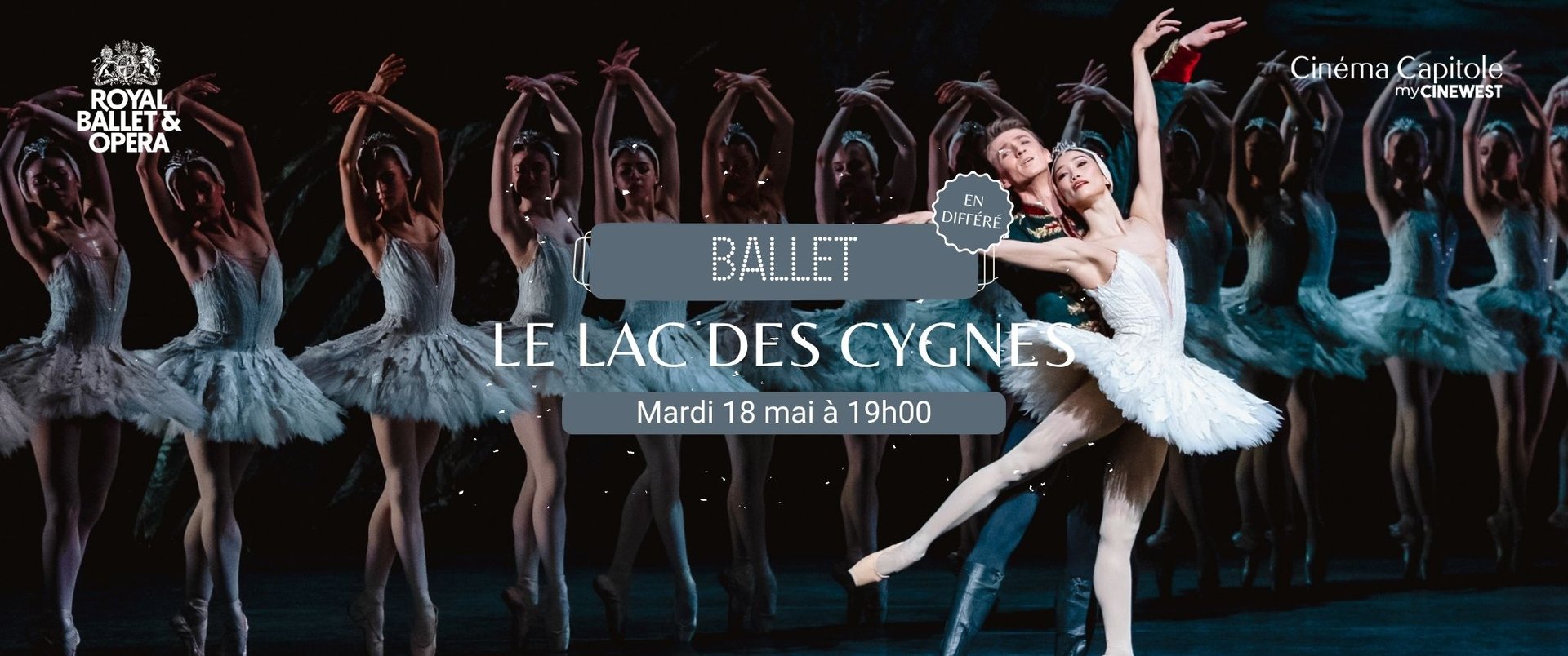 Le lac des cygnes