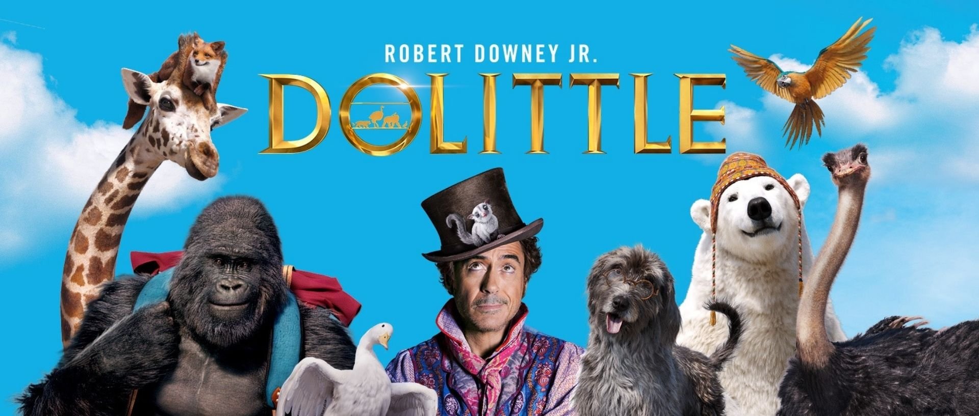 DOLITTLE
