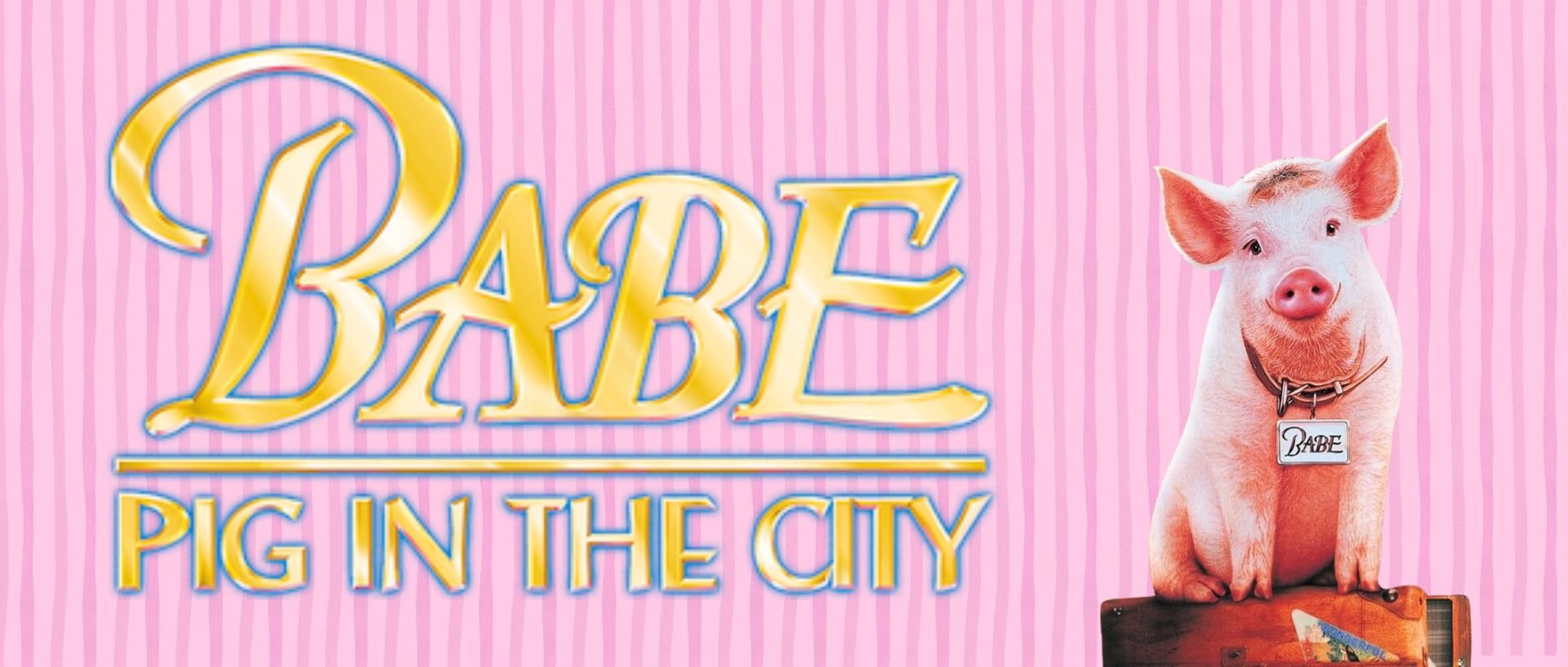 BABE PIG IN THE CITY