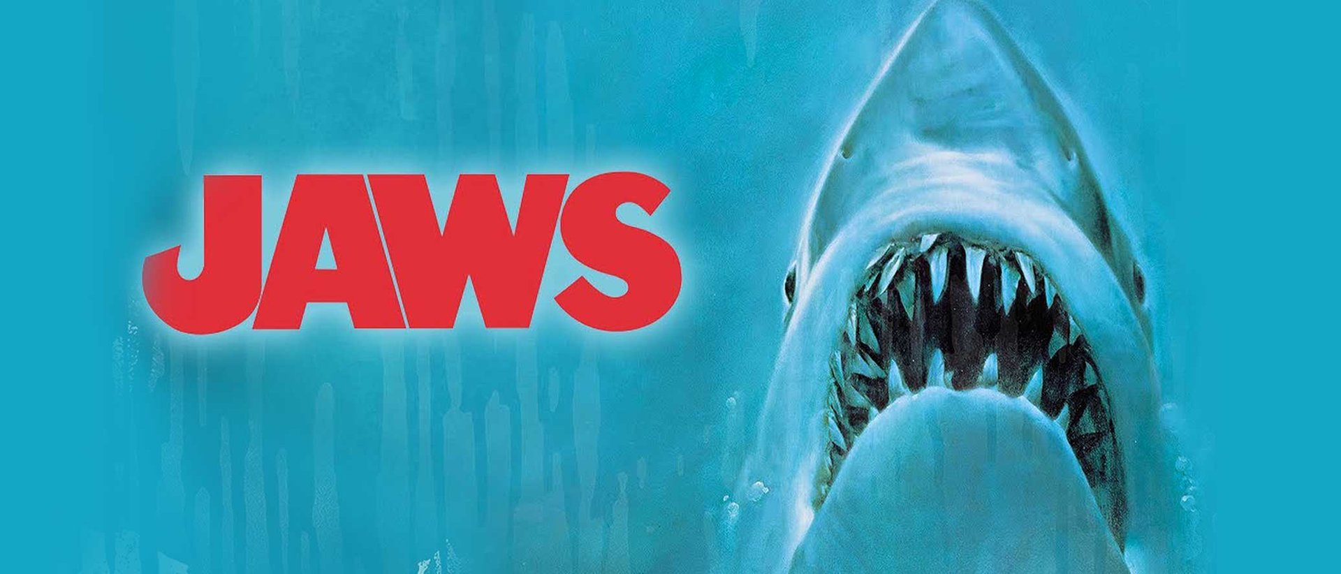 Jaws