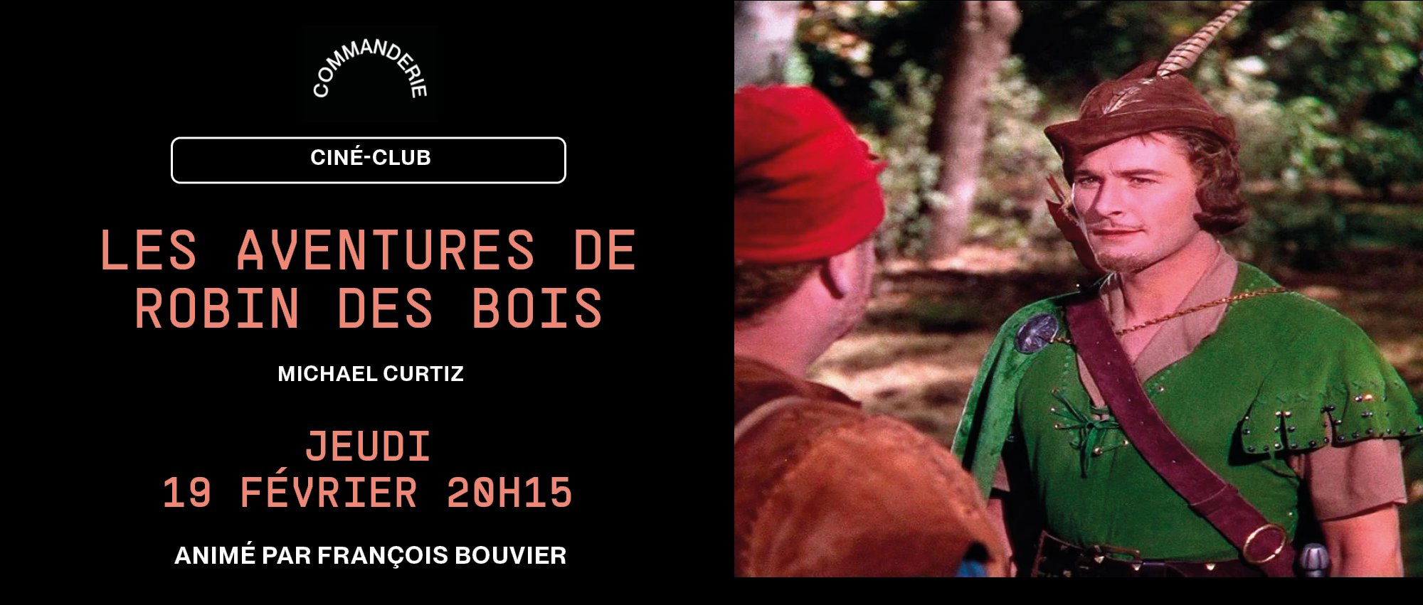 Les aventures de Robin des Bois