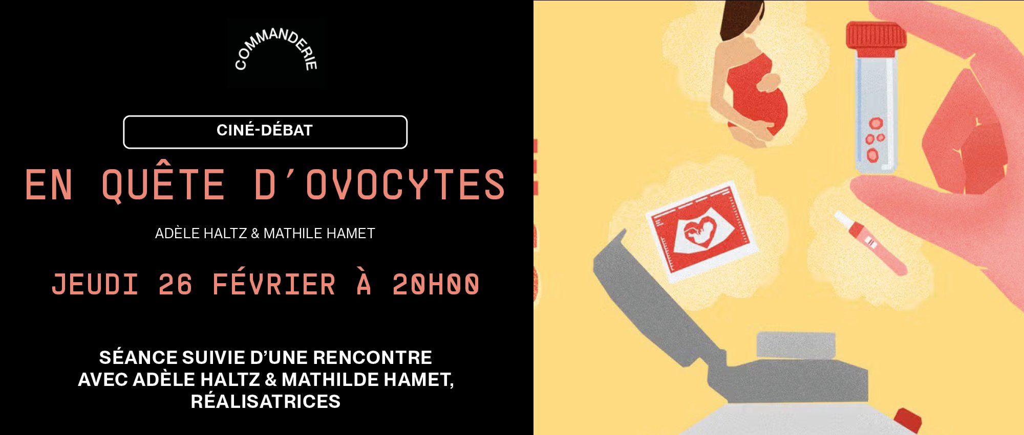 En quête d'ovocytes