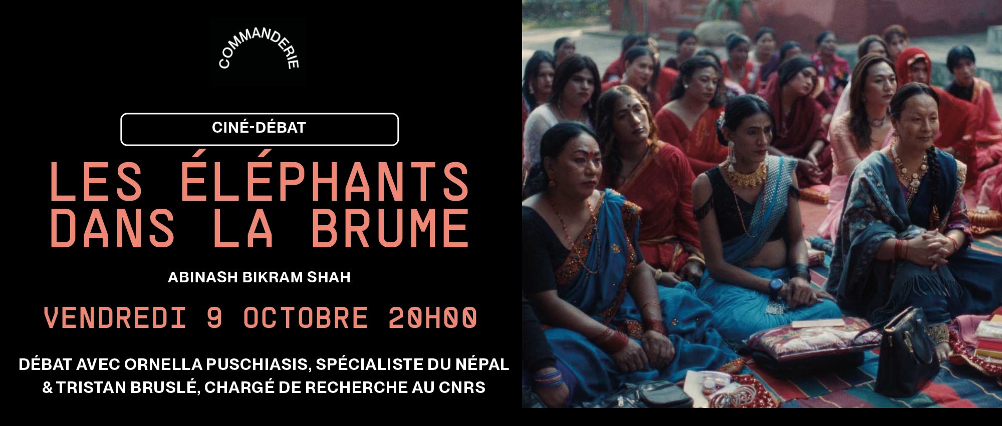 Les éléphants dans la brume
