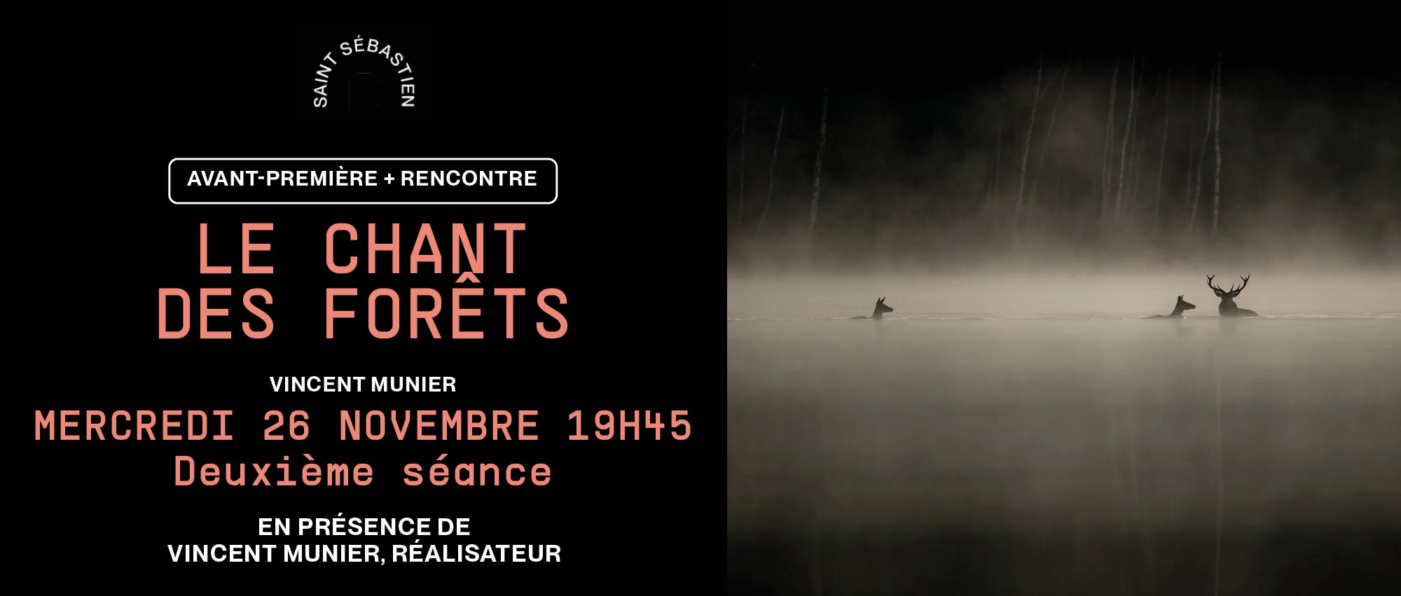 Le chant des forêts