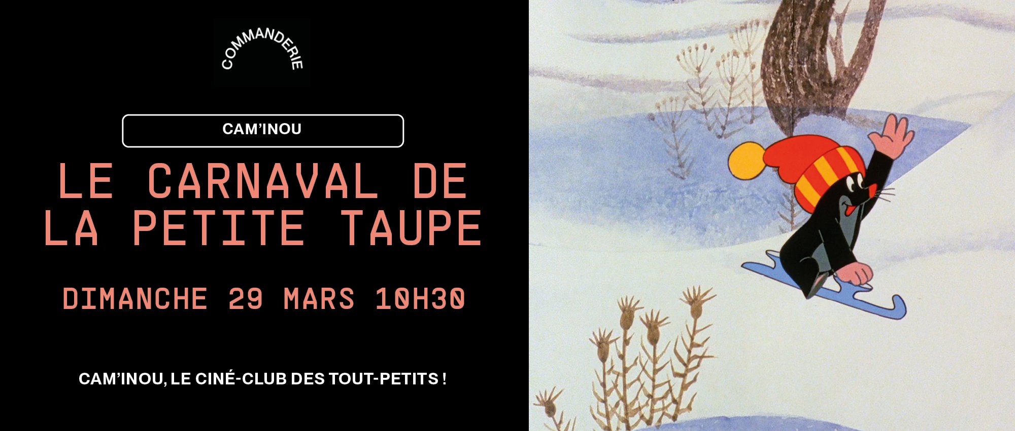 Le carnaval de la petite taupe
