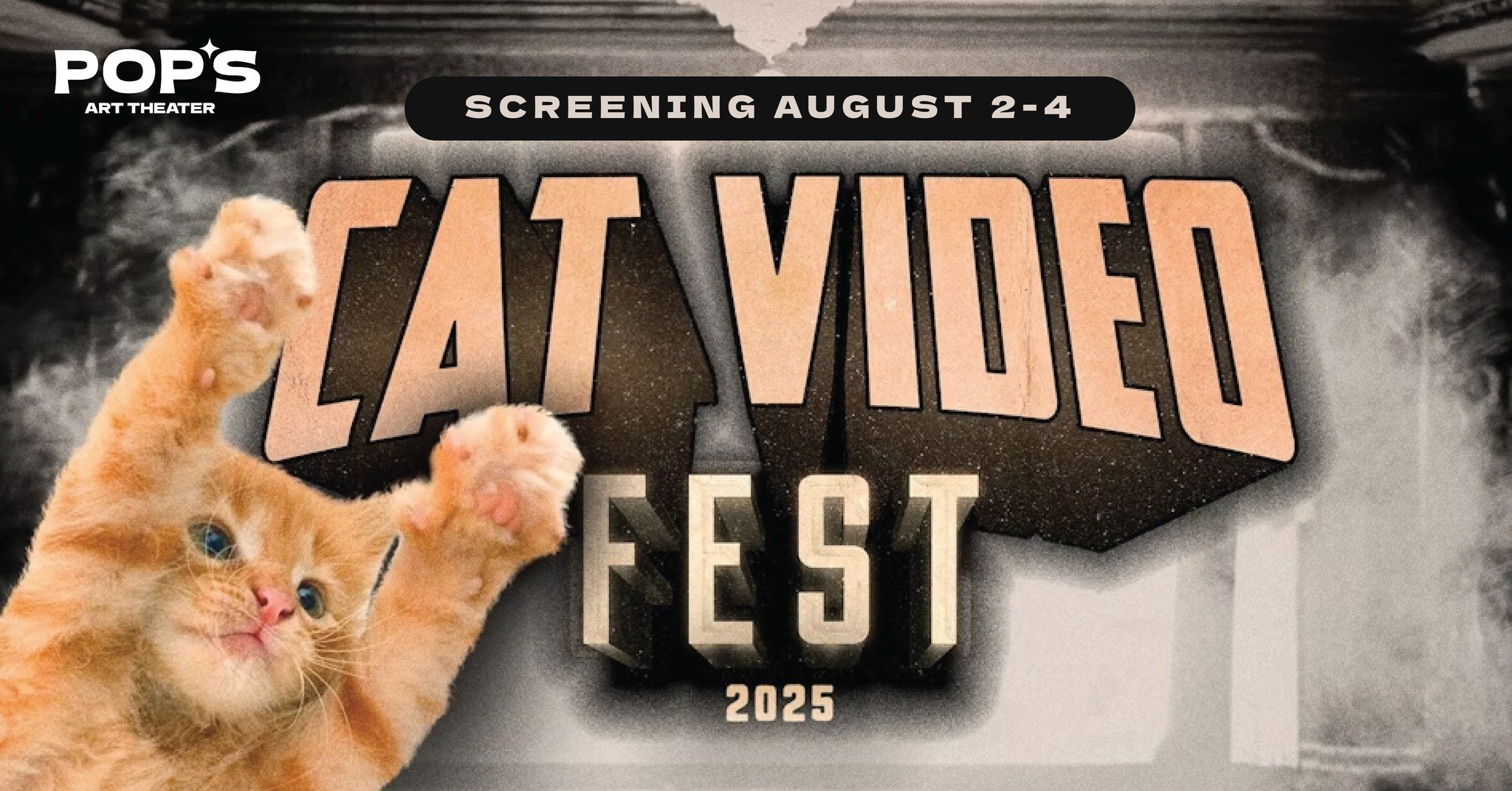 Cat Video Fest 2025