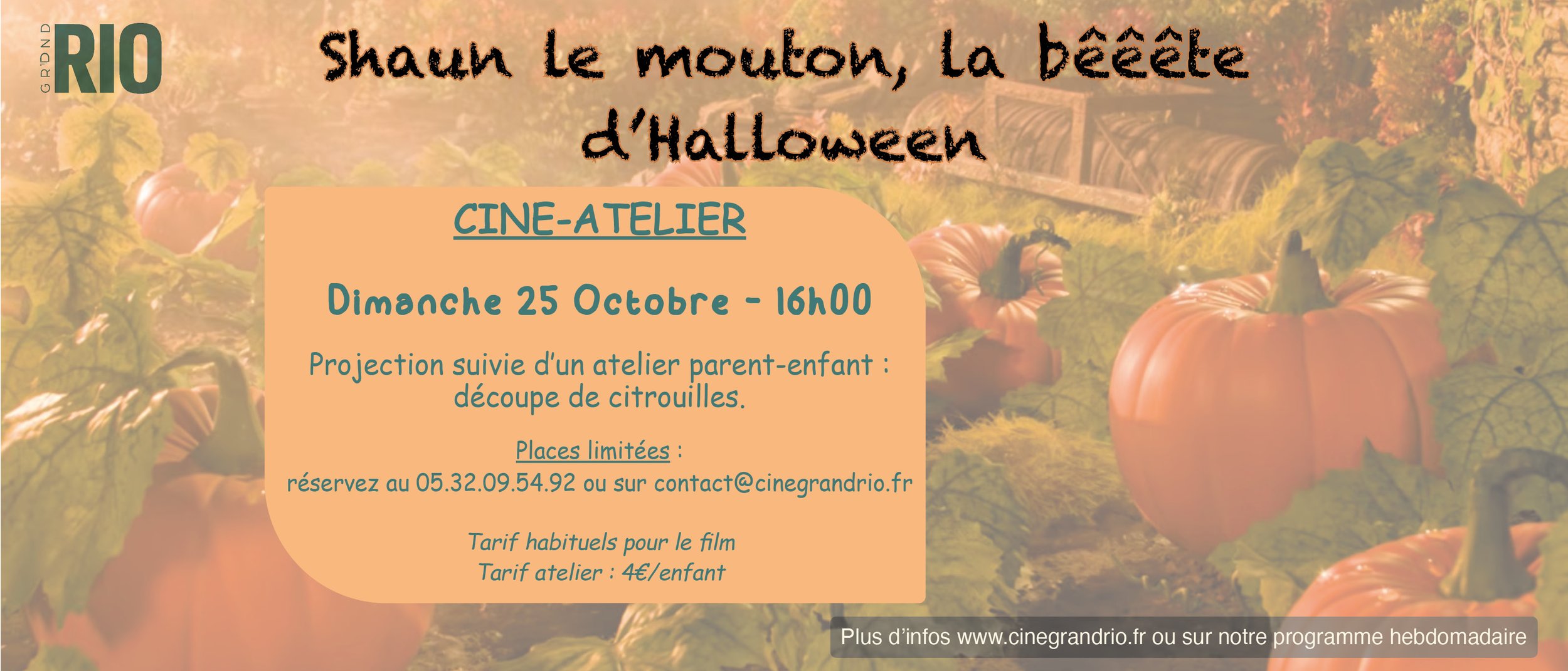 Ciné-Atelier : Shaun le mouton et la bêêête d'Halloween