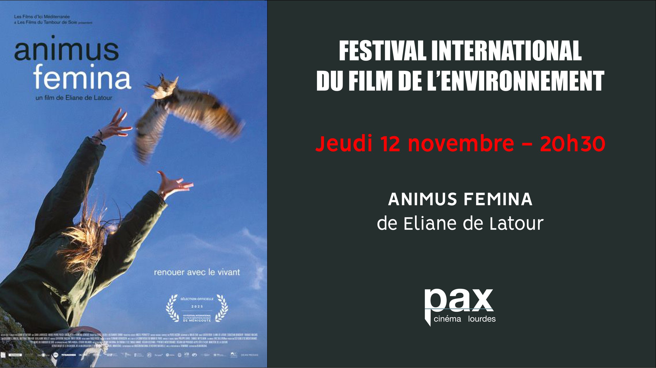 Festival International du film de l'environnement