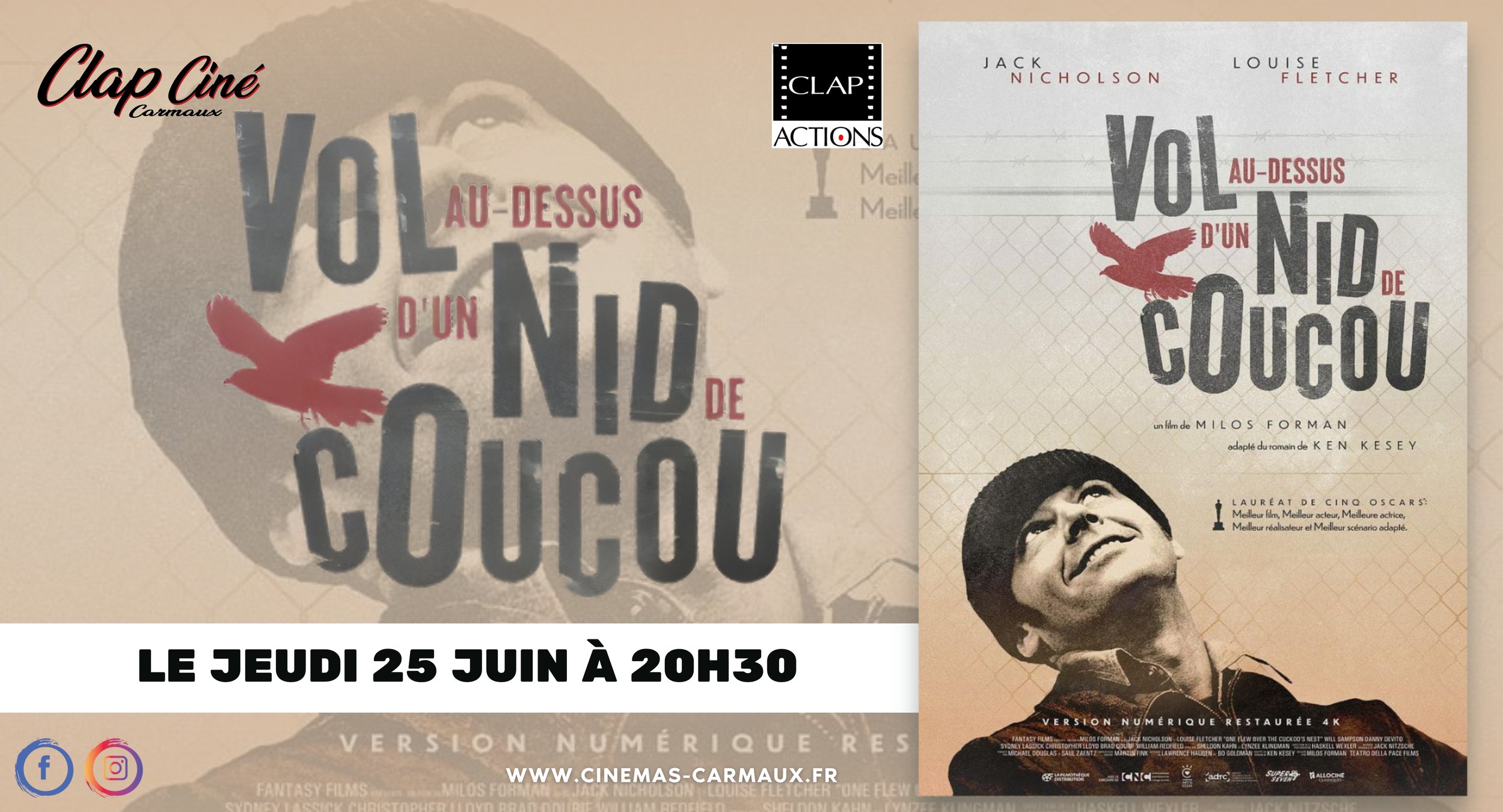 Vol au-dessus d'un nid de coucou