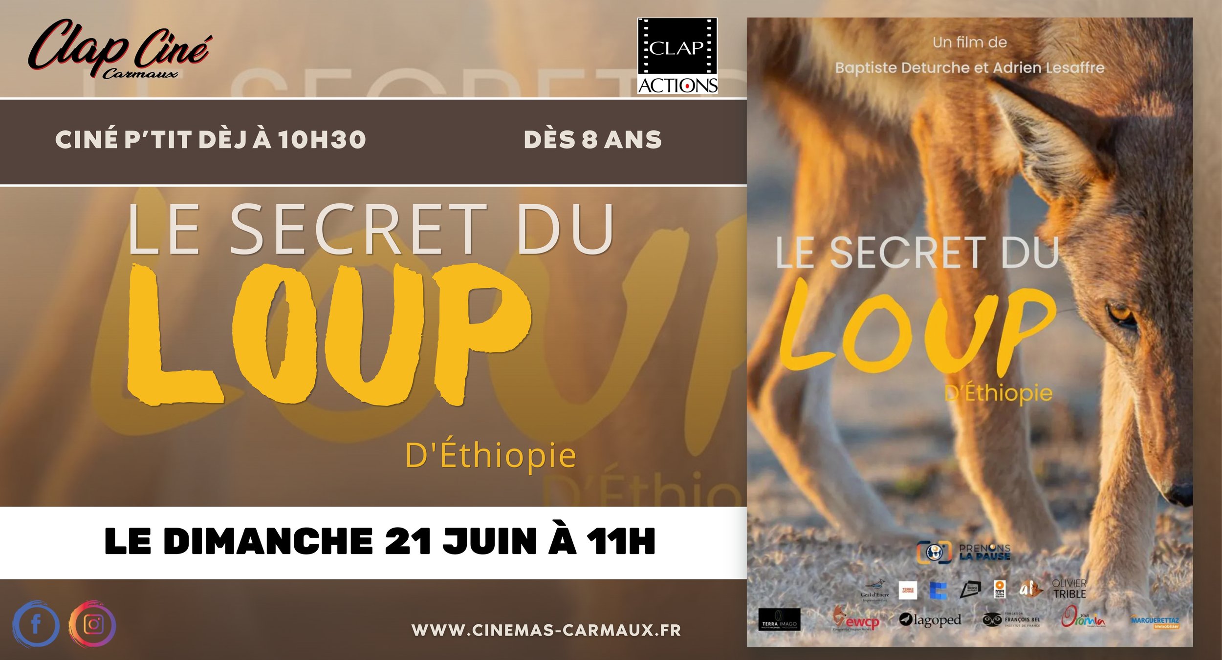 Le secret du loup d'Ethiopie