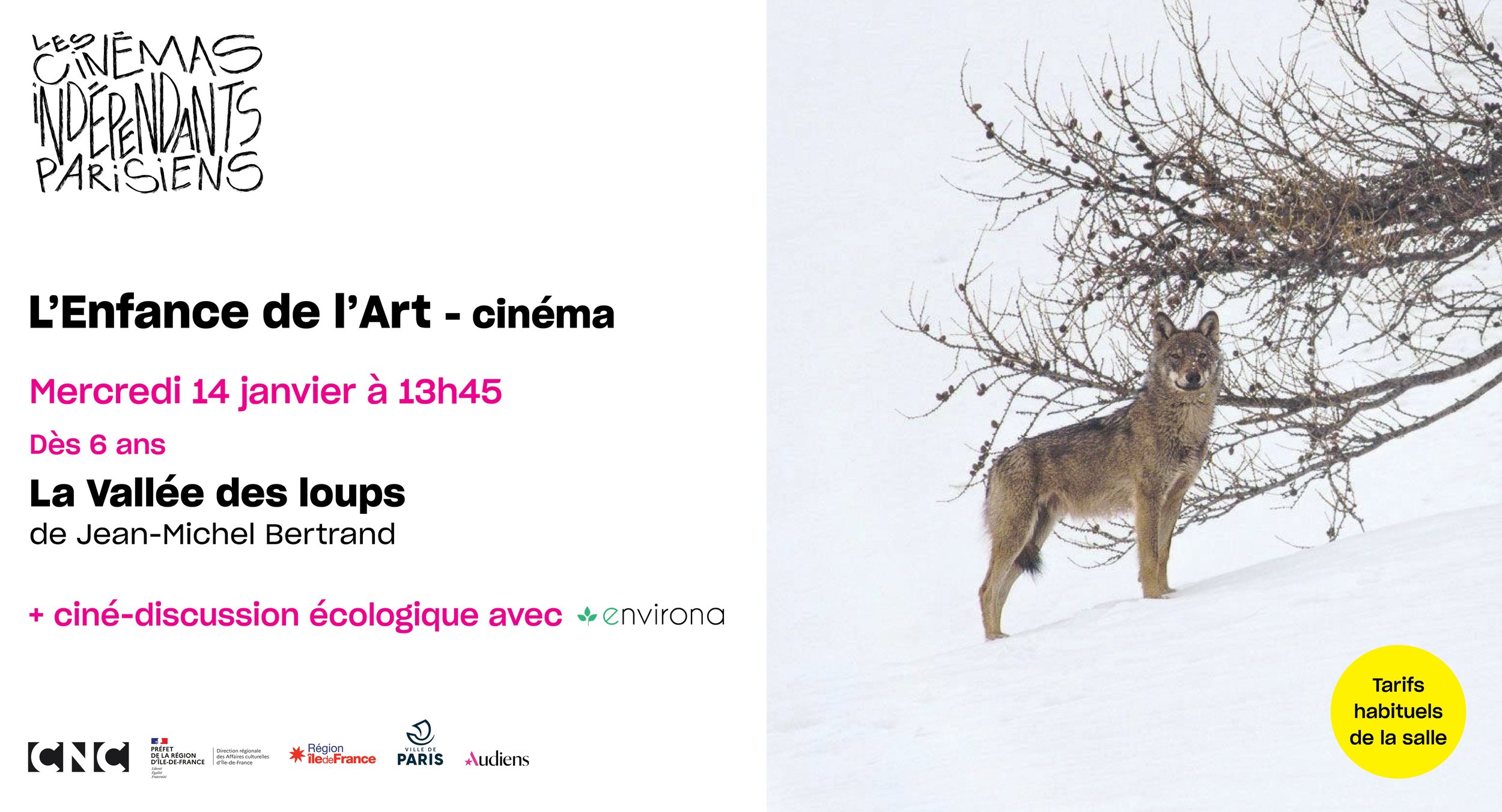 Discussion autour de l'écologie à hauteur d'enfant