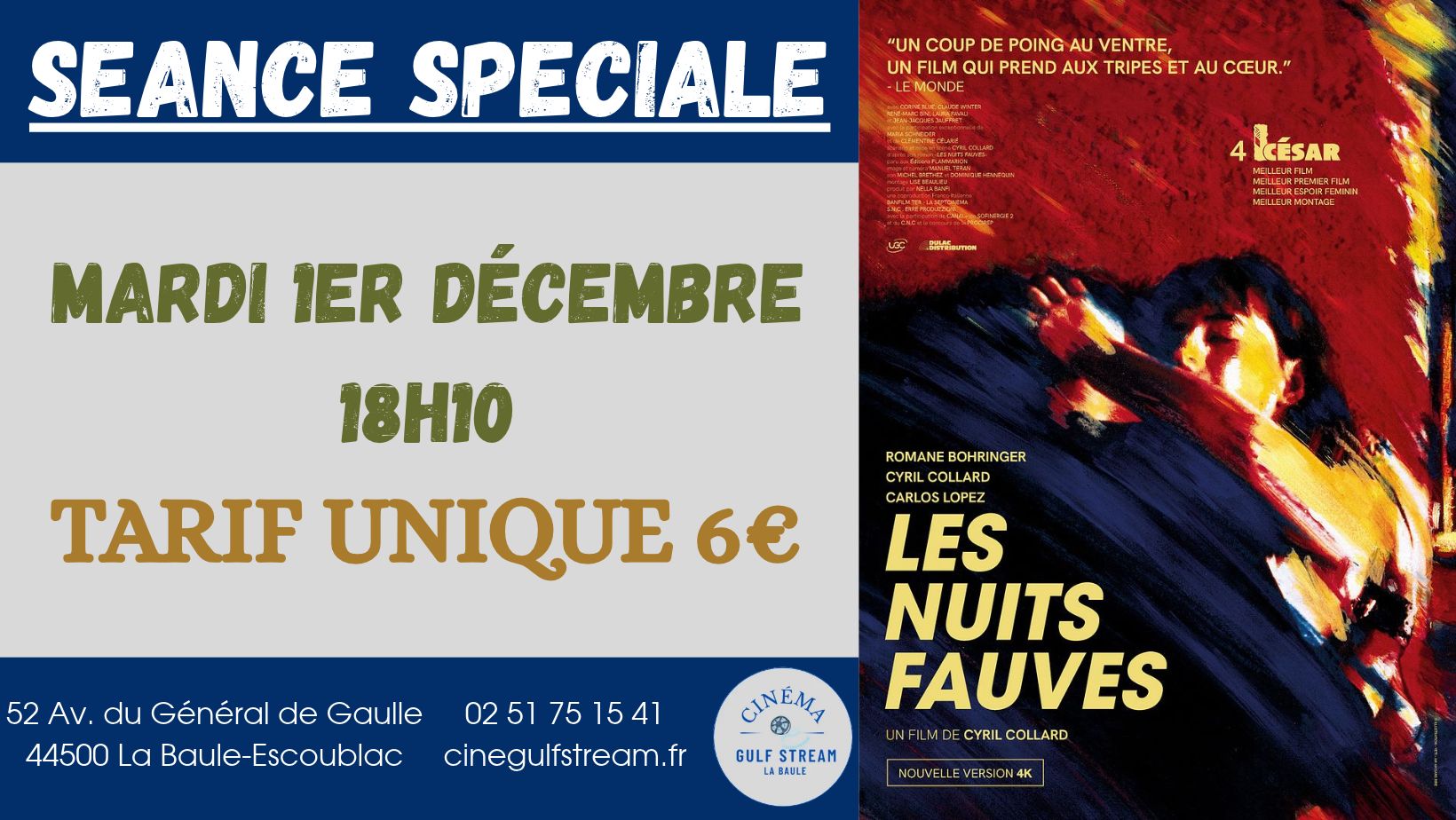 SEANCE SPECIALE : LES NUITS FAUVES