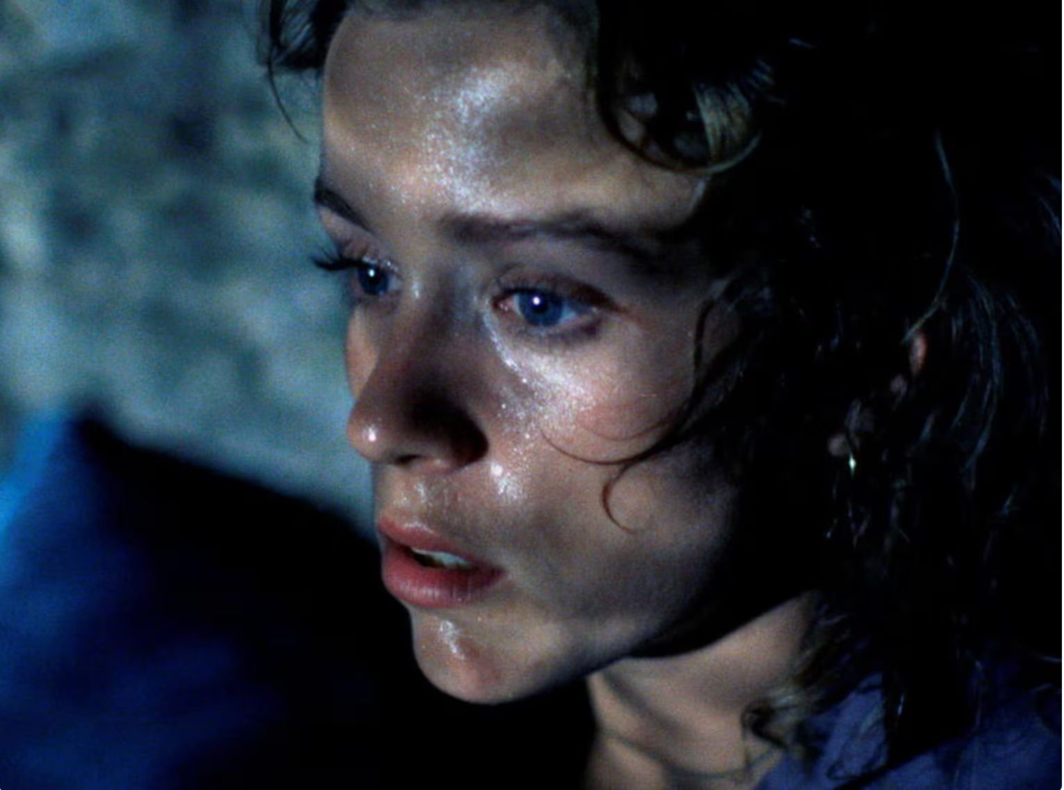 DANS LA CHALEUR DE LA NUIT · rétrospective en 10 films du 9.07 au 10.08