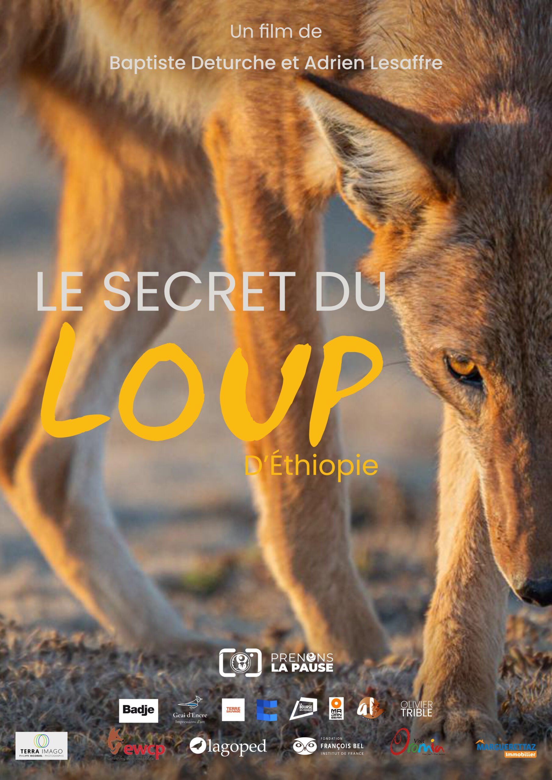 LE SECRET DU LOUP D'ÉTHIOPIE