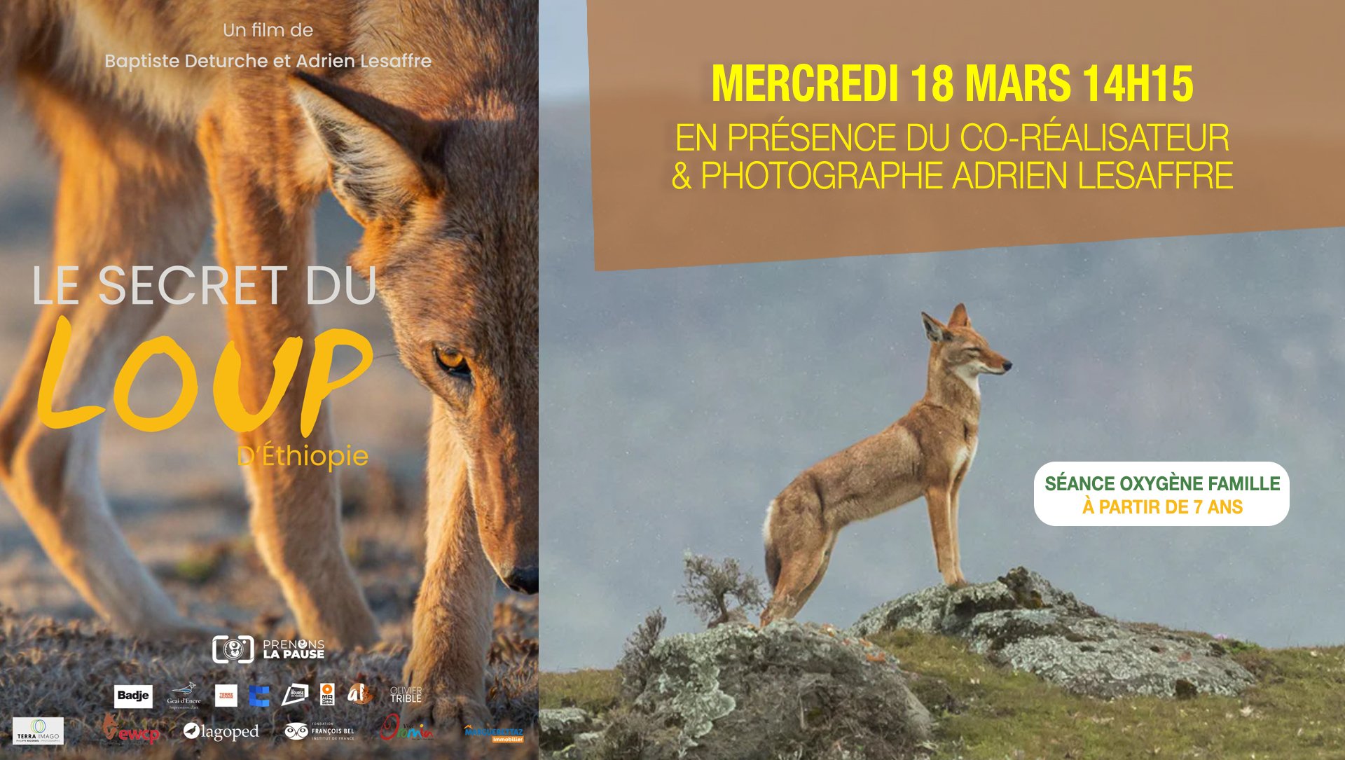 LE SECRET DU LOUP D'ÉTHIOPIE