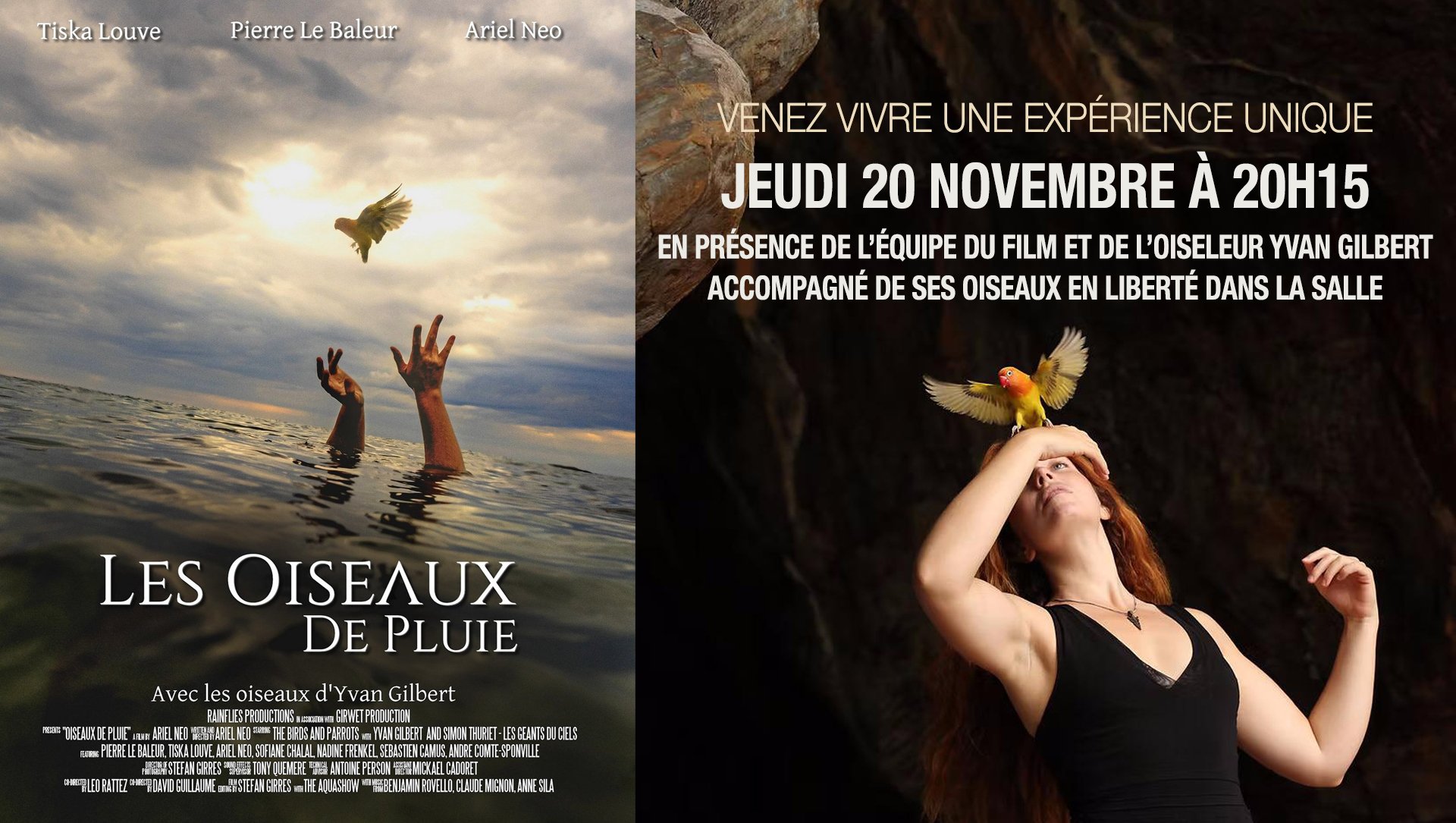 LES OISEAUX DE PLUIE