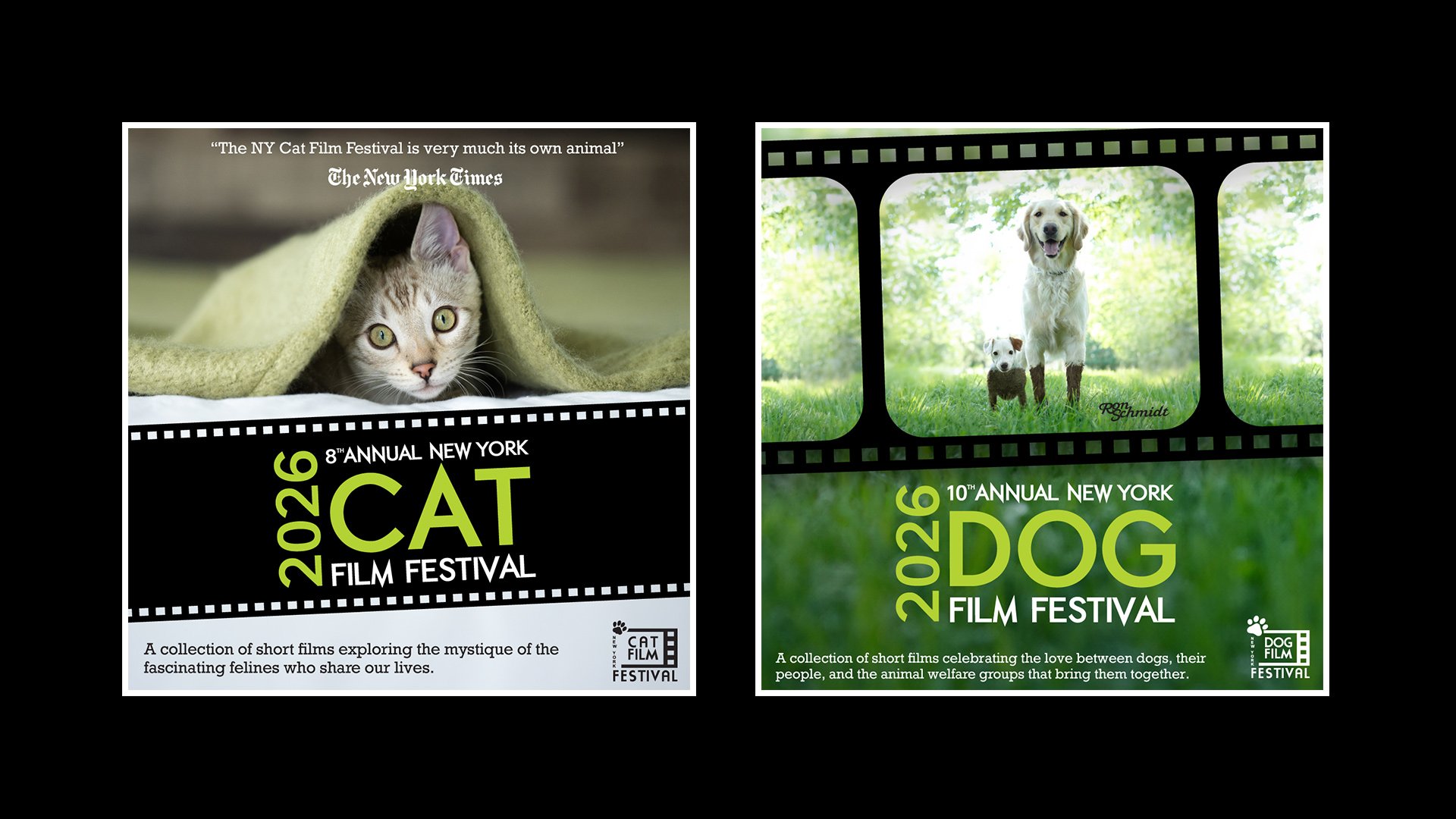 2026 New York Cat & Dog Film Festivals!