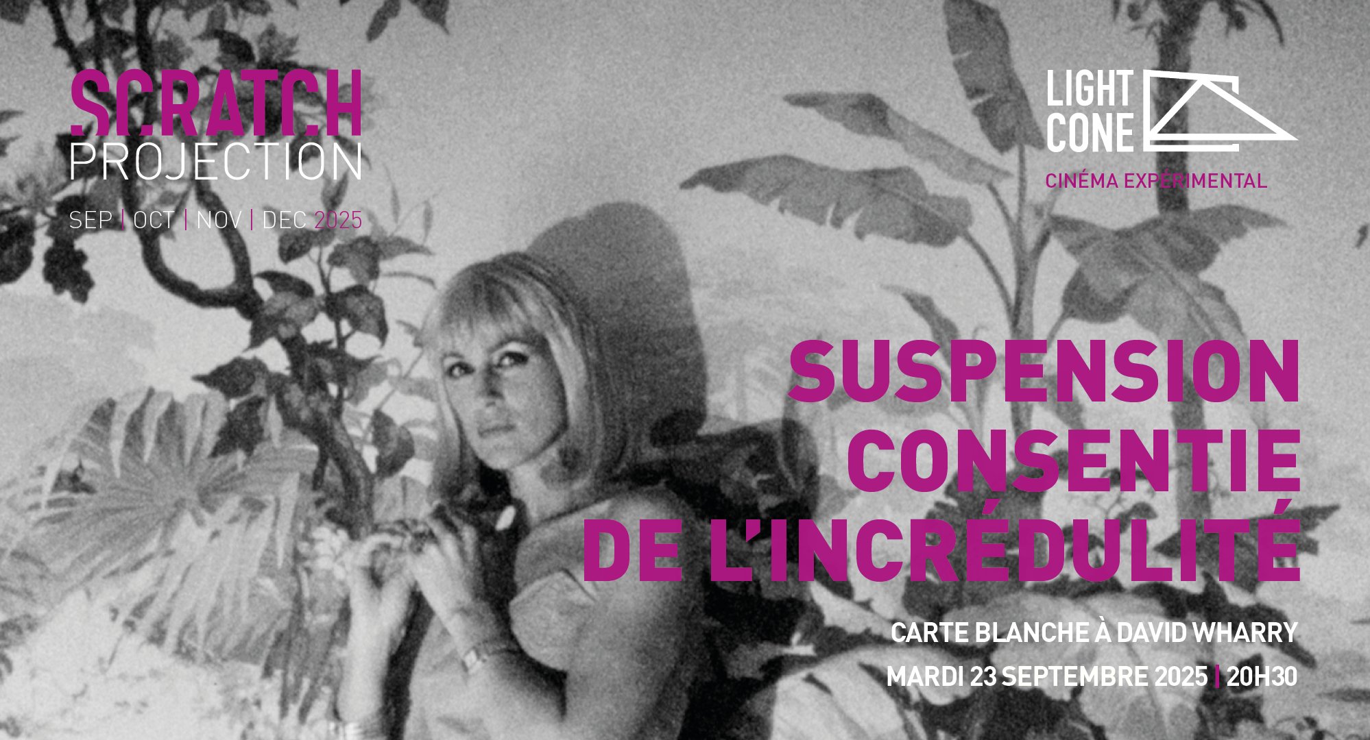 Suspension consentie de l'incrédulité -Scratch projection
