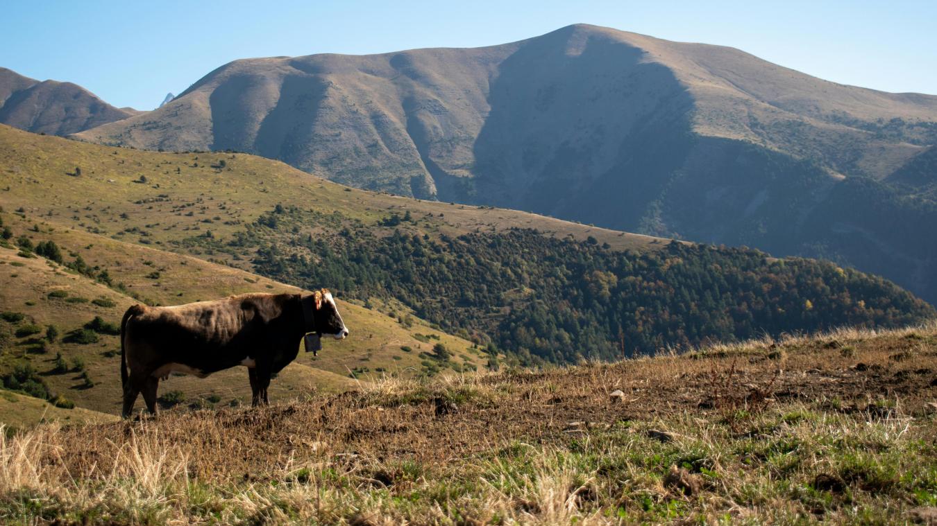 DEMAIN LA VALLÉE