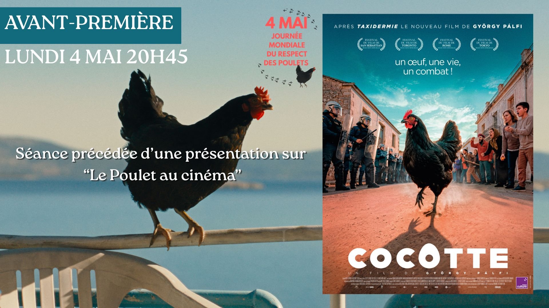 AVANT-PREMIERE "COCOTTE"