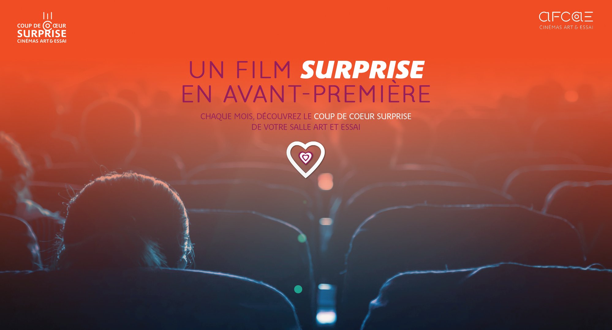 Coup de coeur surprise ! Laissez-vous tenter... 