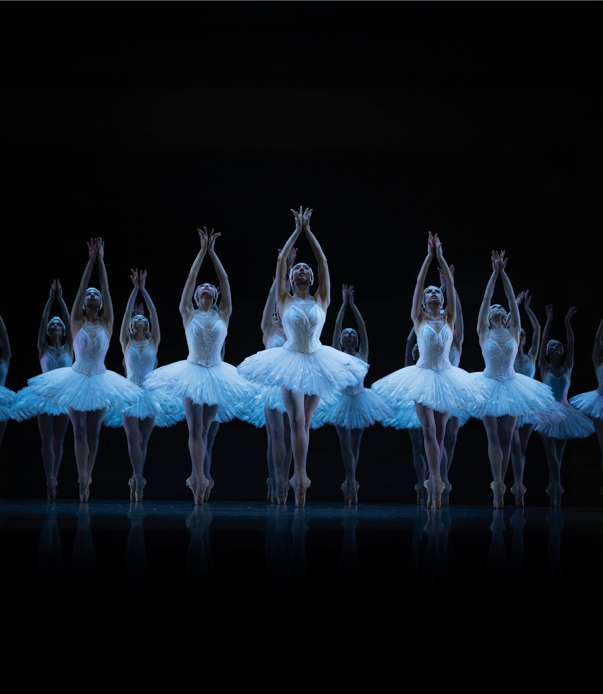 Ballet au cinéma • LE LAC DES CYGNES