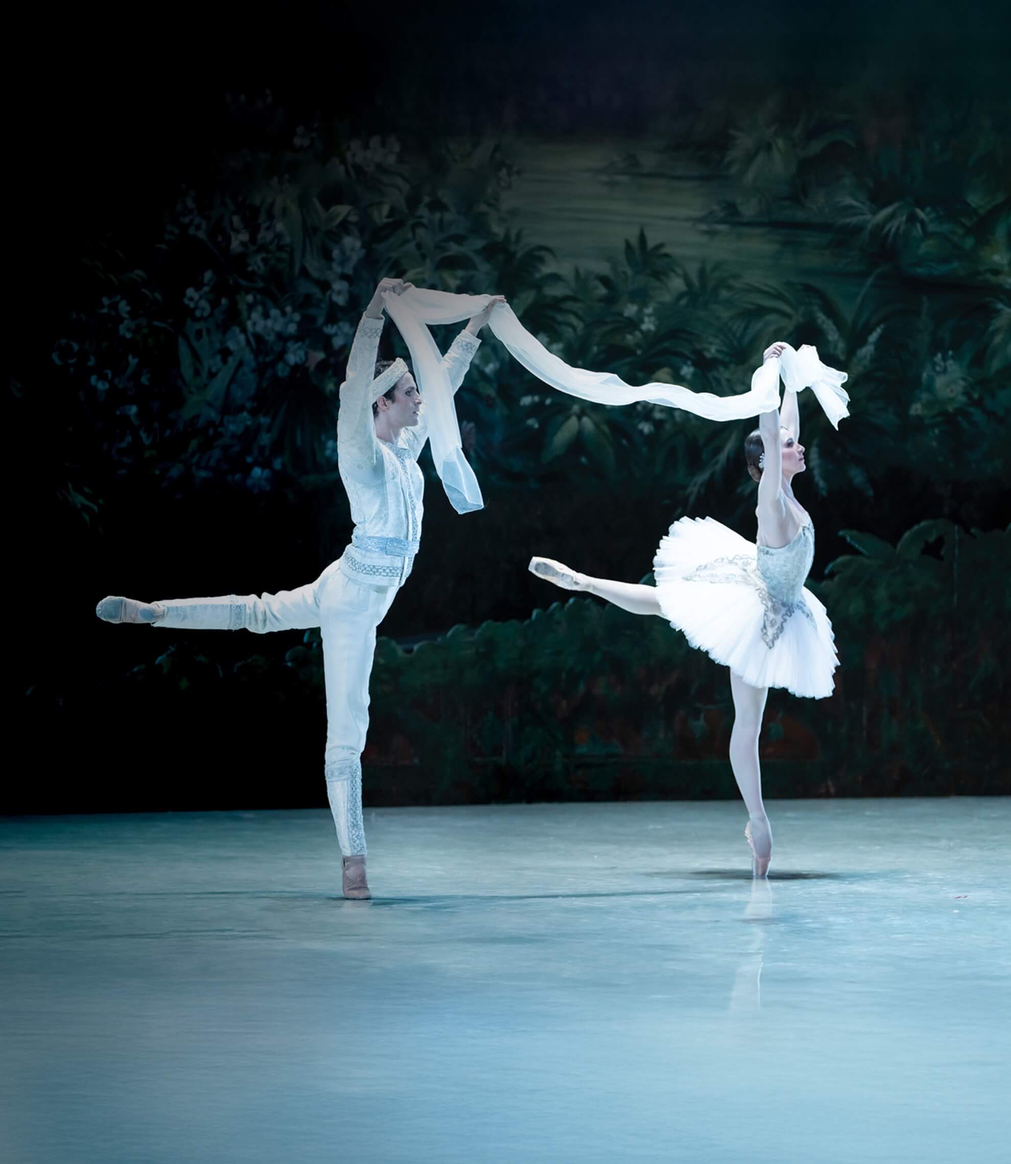 Ballet au cinéma • LA BAYADÈRE