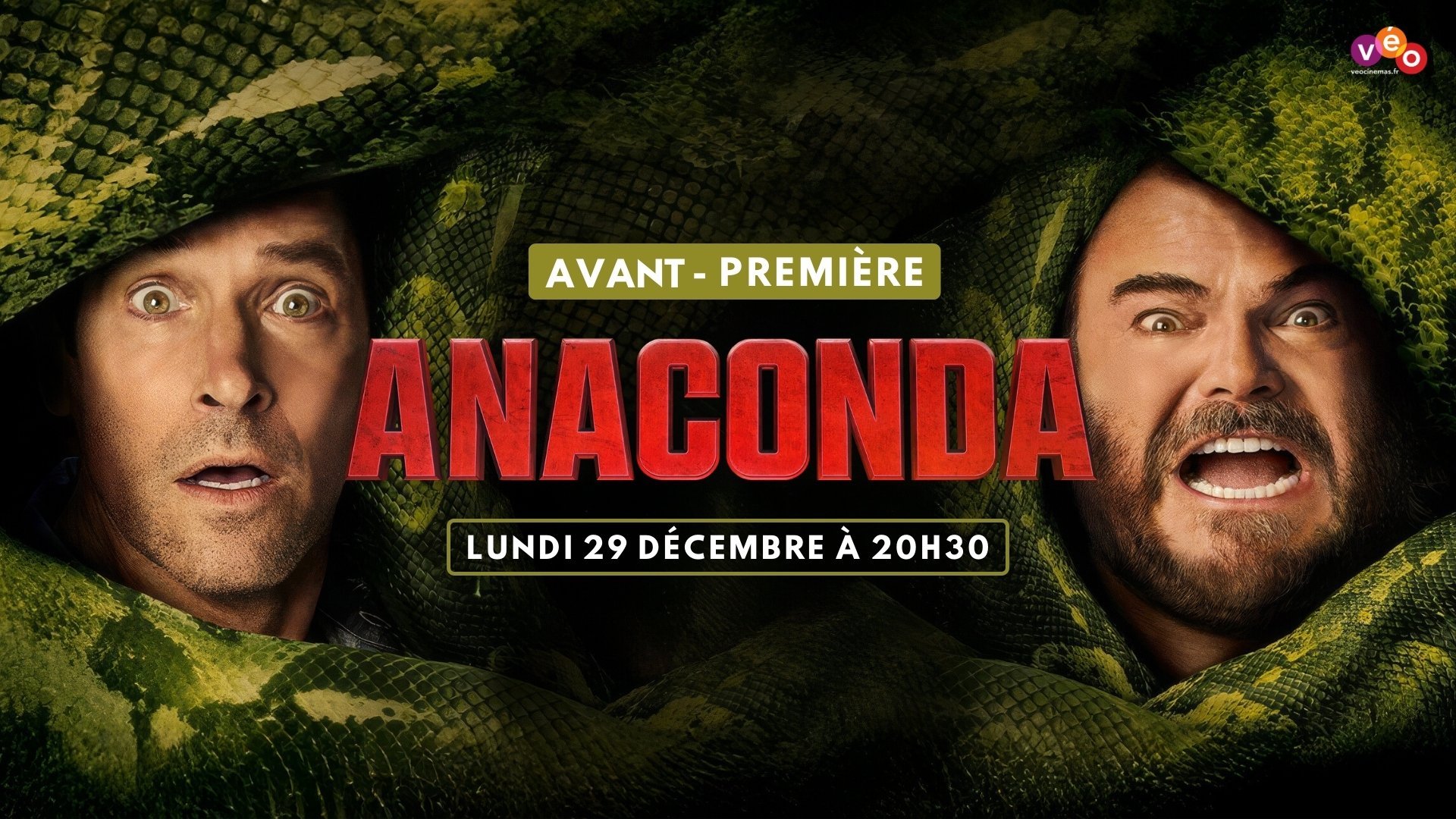 Anaconda