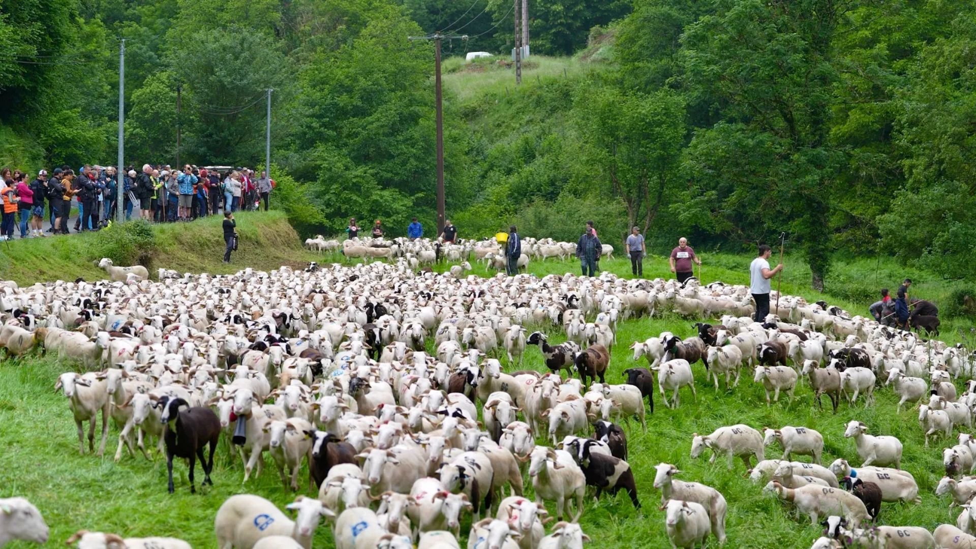 Ciné-Rencontre en présence du réalisateur - INVISIBLES MAIS INFINIMENT PRÉCIEUX | Mardi 3 février à 20h30