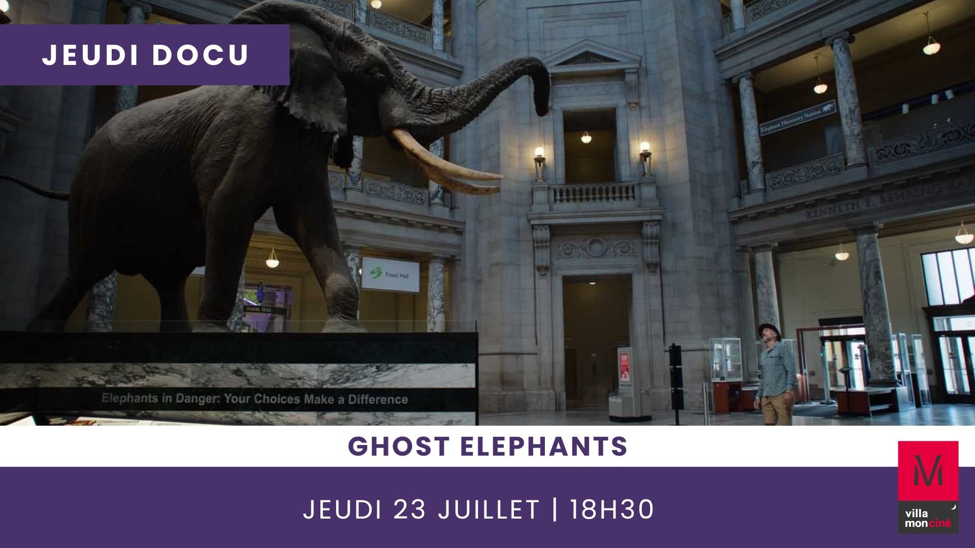 GHOST ELEPHANTS