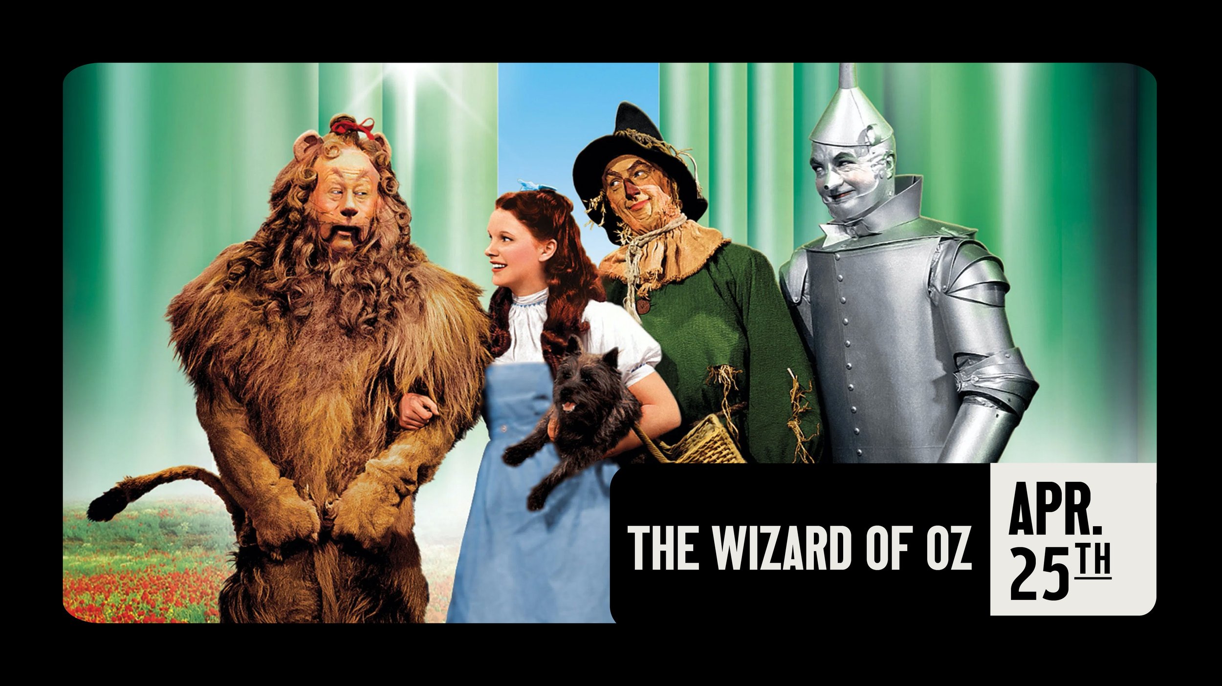 THE WIZARD OF OZ